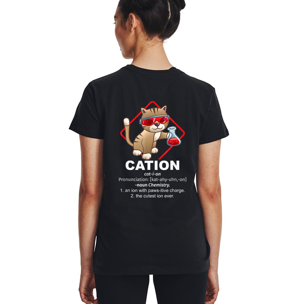 Chemistry Professor Kitty Science Day Cat Owner Chemist Woman T-Shirt